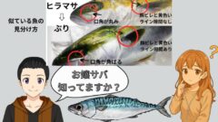 【魚の知識とお得情報】