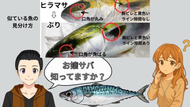 【魚の知識とお得情報】