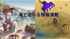【海遊び＆磯遊び】