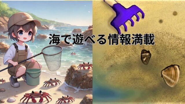【海遊び＆磯遊び】