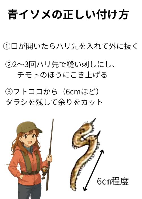 イシモチのエサ付け。正しい付け方解説イラスト