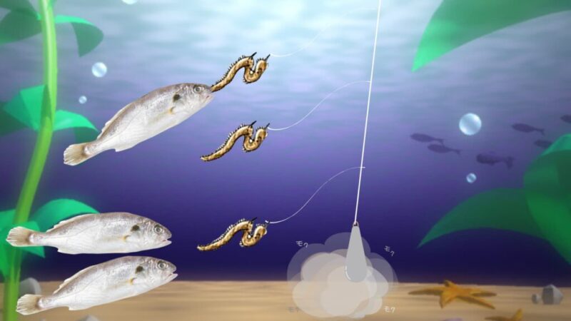 イシモチ海底イメイジ画像