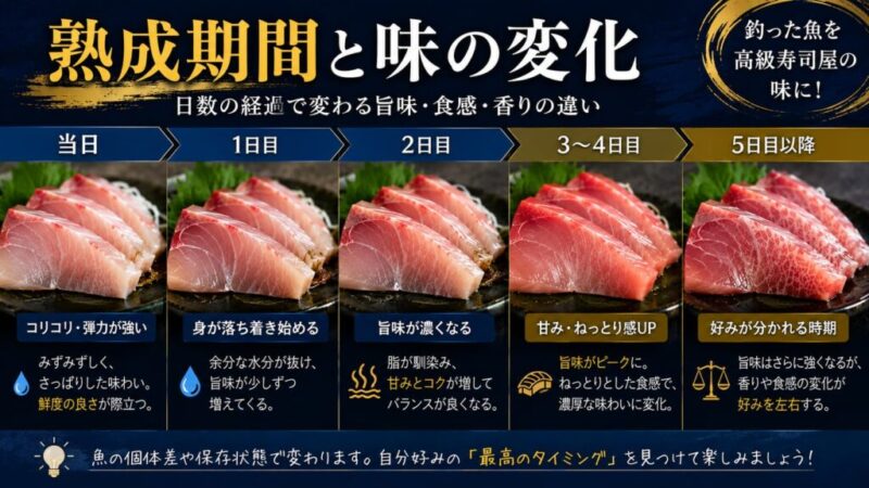 熟成期間によるブリ・ワラサの刺身の味変化を比較した図解。釣りたてから5日目以降まで、食感・旨味・甘み・ねっとり感の違いを高級寿司屋風に解説したインフォグラフィック。