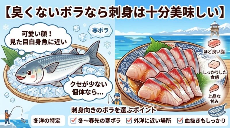 ボラは刺身で食べられる?解説用の画像