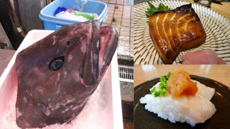アブラボウズの頭と・アブラボウズ握り・アブラボウズみりん干し。解説画像