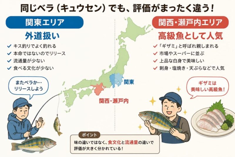 ベラ(キュウセン)の評価を比較したイラスト。関東では外道扱いされる一方、関西・瀬戸内では「ギザミ」と呼ばれる高級魚として親しまれていることを地図で解説。