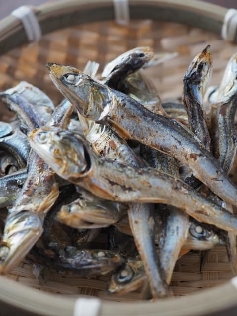 カタクチイワシの煮干し