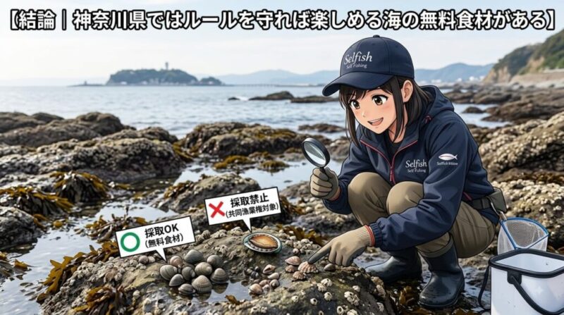 結論|神奈川県ではルールを守れば楽しめる海の無料食材がある。イメージイラスト