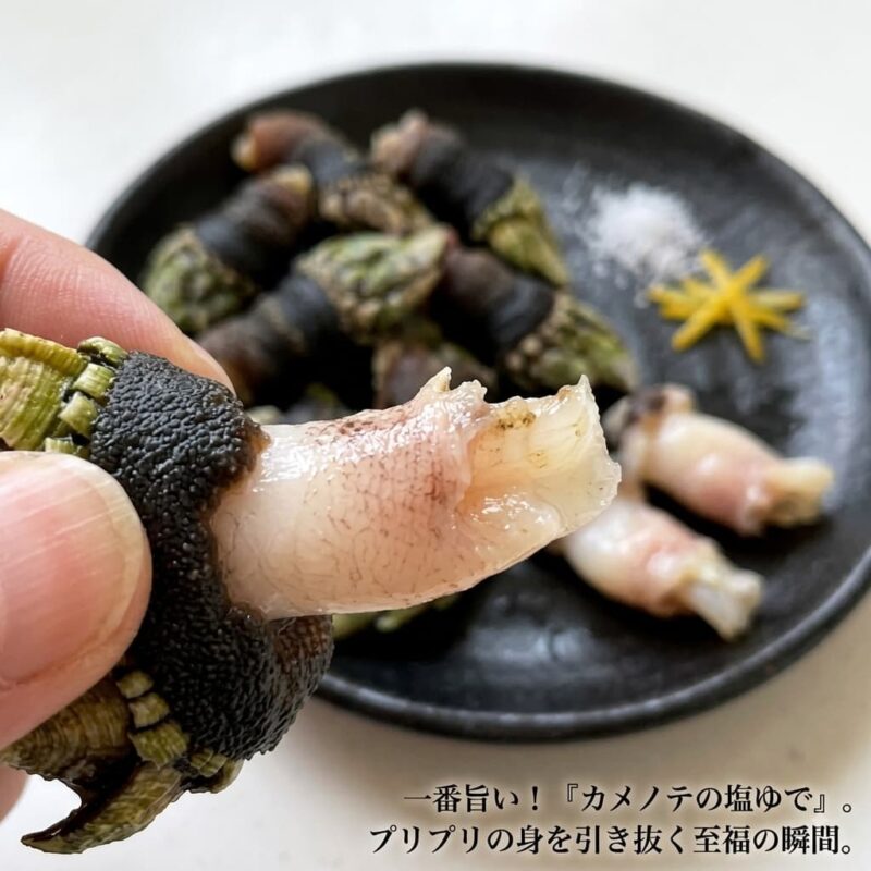 一番旨い!「カメノテの塩ゆで」紹介画像