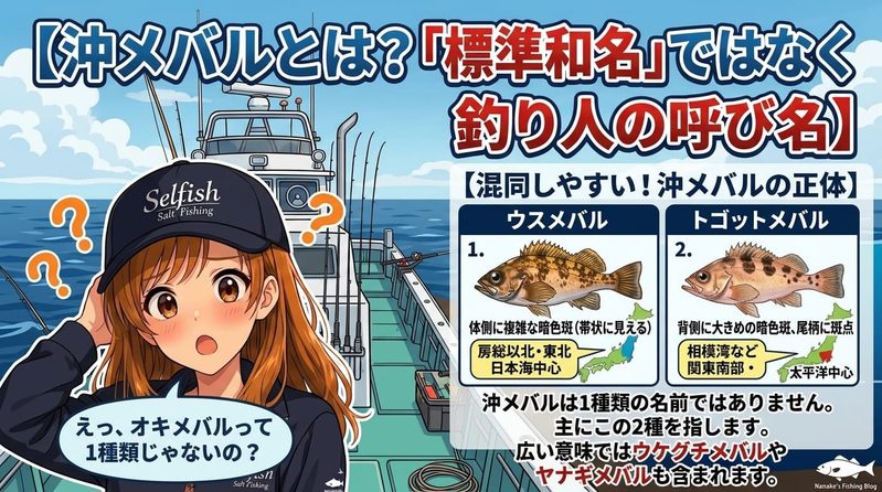 沖メバルとは?「標準和名」ではなく釣り人の呼び名。見出し画像