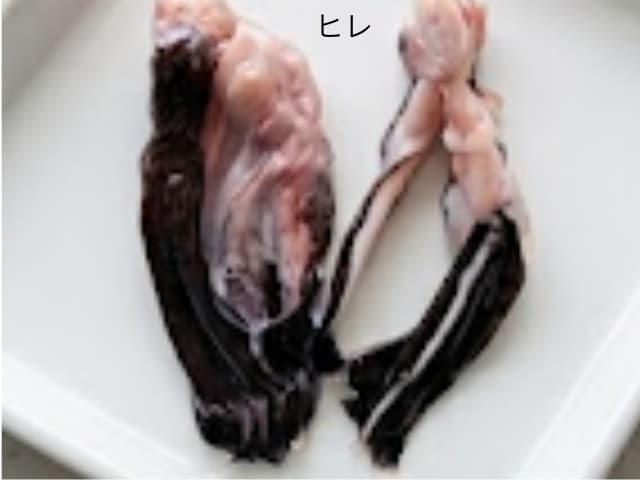 アンコウのヒレ